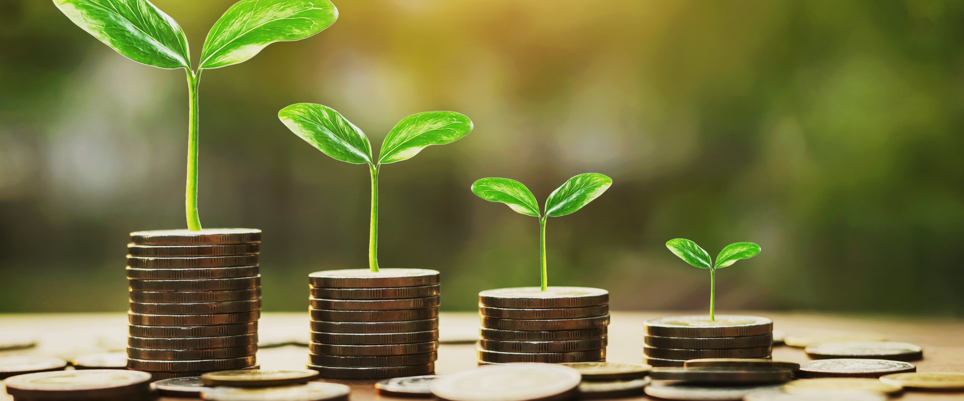 What business is the best to invest in?